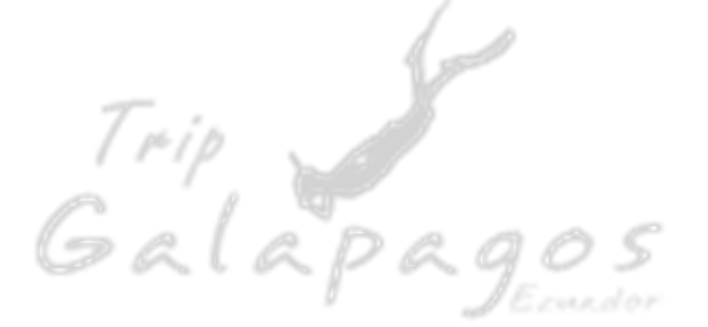 Trip Galapagos : Brand Short Description Type Here.